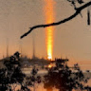 Meet your Posher, Rose